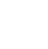 Supreme Christmas Trees